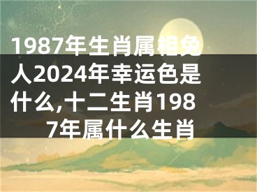 1987年生肖属相兔人2024年幸运色是什么,十二生肖1987年属什么生肖