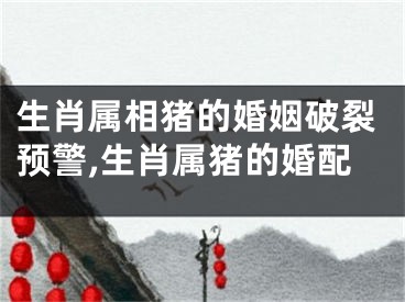 生肖属相猪的婚姻破裂预警,生肖属猪的婚配