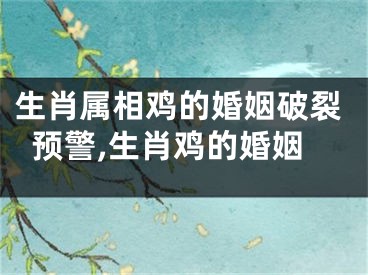 生肖属相鸡的婚姻破裂预警,生肖鸡的婚姻