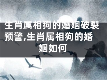 生肖属相狗的婚姻破裂预警,生肖属相狗的婚姻如何