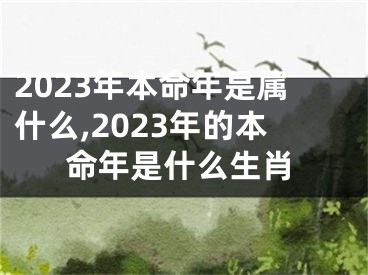 2023年本命年是属什么,2023年的本命年是什么生肖