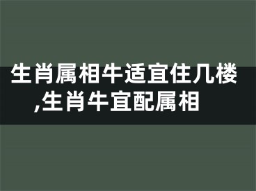 生肖属相牛适宜住几楼,生肖牛宜配属相