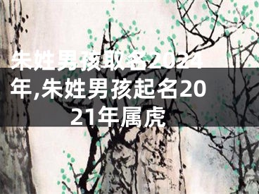 朱姓男孩取名2024年,朱姓男孩起名2021年属虎