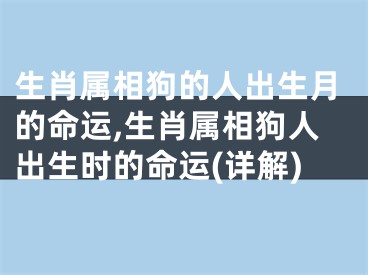 生肖属相狗的人出生月的命运,生肖属相狗人出生时的命运(详解)