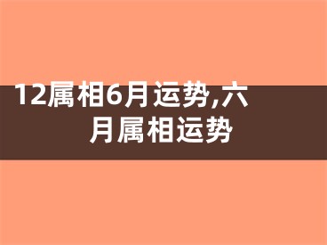 12属相6月运势,六月属相运势