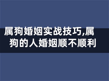 属狗婚姻实战技巧,属狗的人婚姻顺不顺利