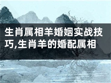 生肖属相羊婚姻实战技巧,生肖羊的婚配属相