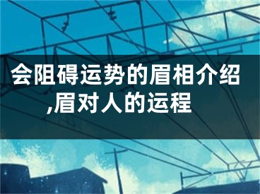 会阻碍运势的眉相介绍,眉对人的运程