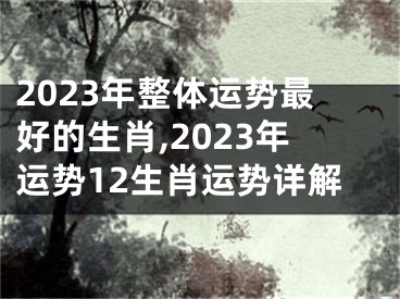 2023年整体运势最好的生肖,2023年运势12生肖运势详解