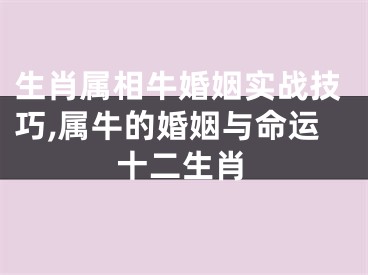 生肖属相牛婚姻实战技巧,属牛的婚姻与命运十二生肖