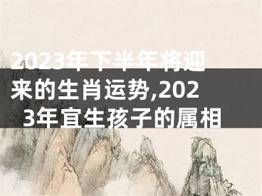 2023年下半年将迎来的生肖运势,2023年宜生孩子的属相