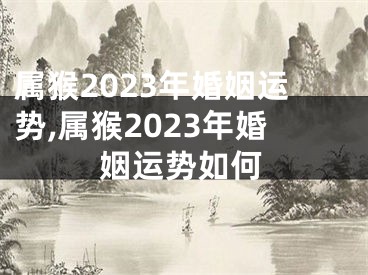 属猴2023年婚姻运势,属猴2023年婚姻运势如何