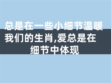 总是在一些小细节温暖我们的生肖,爱总是在细节中体现