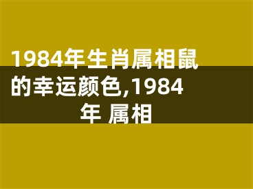 1984年生肖属相鼠的幸运颜色,1984年 属相