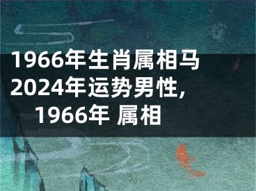 1966年生肖属相马2024年运势男性,1966年 属相