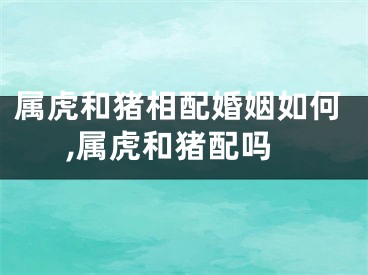 属虎和猪相配婚姻如何,属虎和猪配吗