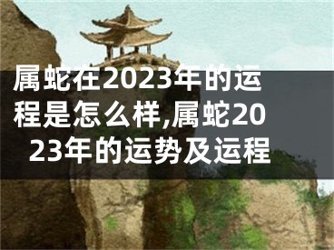 属蛇在2023年的运程是怎么样,属蛇2023年的运势及运程