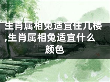 生肖属相兔适宜住几楼,生肖属相兔适宜什么颜色