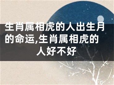 生肖属相虎的人出生月的命运,生肖属相虎的人好不好