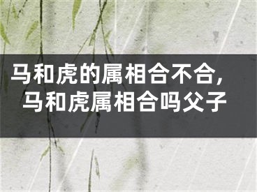 马和虎的属相合不合,马和虎属相合吗父子