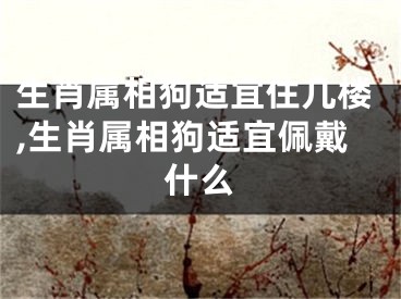 生肖属相狗适宜住几楼,生肖属相狗适宜佩戴什么