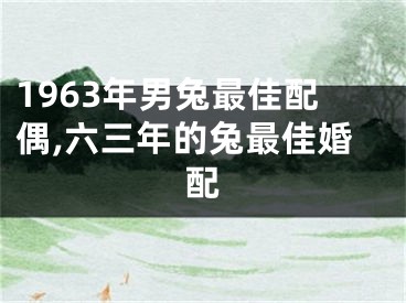 1963年男兔最佳配偶,六三年的兔最佳婚配