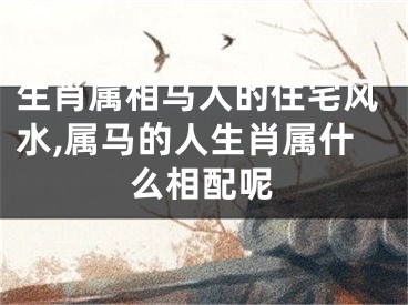 生肖属相马人的住宅风水,属马的人生肖属什么相配呢