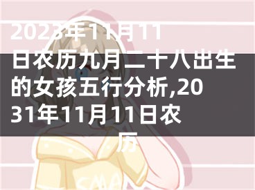 2023年11月11日农历九月二十八出生的女孩五行分析,2031年11月11日农历