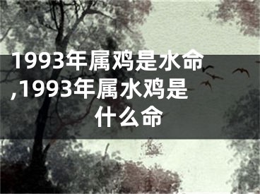 1993年属鸡是水命,1993年属水鸡是什么命