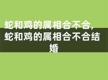 蛇和鸡的属相合不合,蛇和鸡的属相合不合结婚