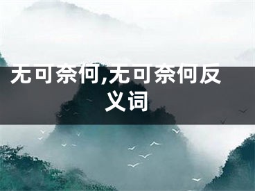 无可奈何,无可奈何反义词