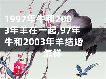 1997年牛和2003年羊在一起,97年牛和2003年羊结婚怎样