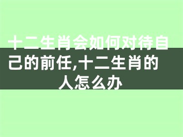 十二生肖会如何对待自己的前任,十二生肖的人怎么办