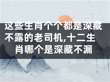 这些生肖个个都是深藏不露的老司机,十二生肖哪个是深藏不漏