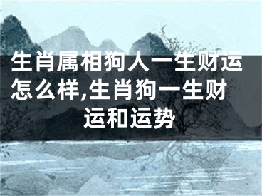 生肖属相狗人一生财运怎么样,生肖狗一生财运和运势