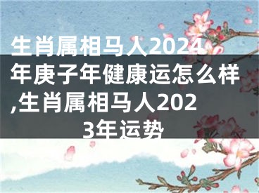 生肖属相马人2024年庚子年健康运怎么样,生肖属相马人2023年运势