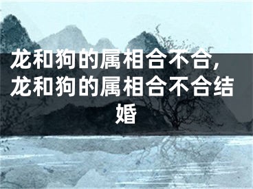 龙和狗的属相合不合,龙和狗的属相合不合结婚