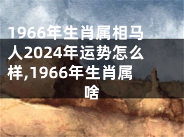 1966年生肖属相马人2024年运势怎么样,1966年生肖属啥