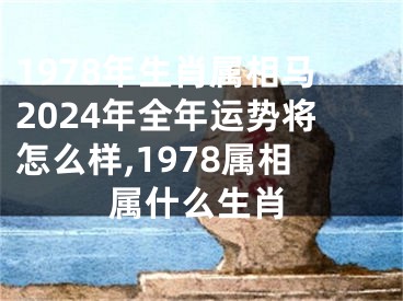 1978年生肖属相马2024年全年运势将怎么样,1978属相属什么生肖