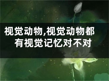 视觉动物,视觉动物都有视觉记忆对不对