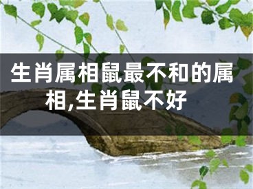 生肖属相鼠最不和的属相,生肖鼠不好