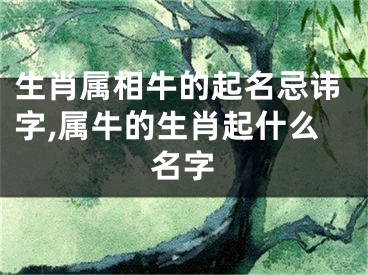 生肖属相牛的起名忌讳字,属牛的生肖起什么名字