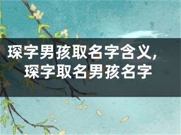 琛字男孩取名字含义,琛字取名男孩名字