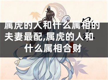 属虎的人和什么属相的夫妻最配,属虎的人和什么属相合财