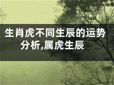 生肖虎不同生辰的运势分析,属虎生辰