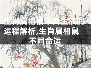 生肖属相鼠不同生辰的运程解析,生肖属相鼠不同命运