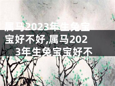 属马2023年生兔宝宝好不好,属马2023年生兔宝宝好不