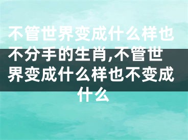 不管世界变成什么样也不分手的生肖,不管世界变成什么样也不变成什么