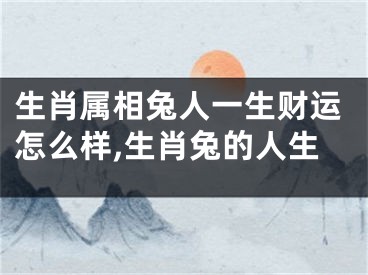 生肖属相兔人一生财运怎么样,生肖兔的人生