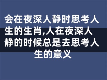 会在夜深人静时思考人生的生肖,人在夜深人静的时候总是去思考人生的意义